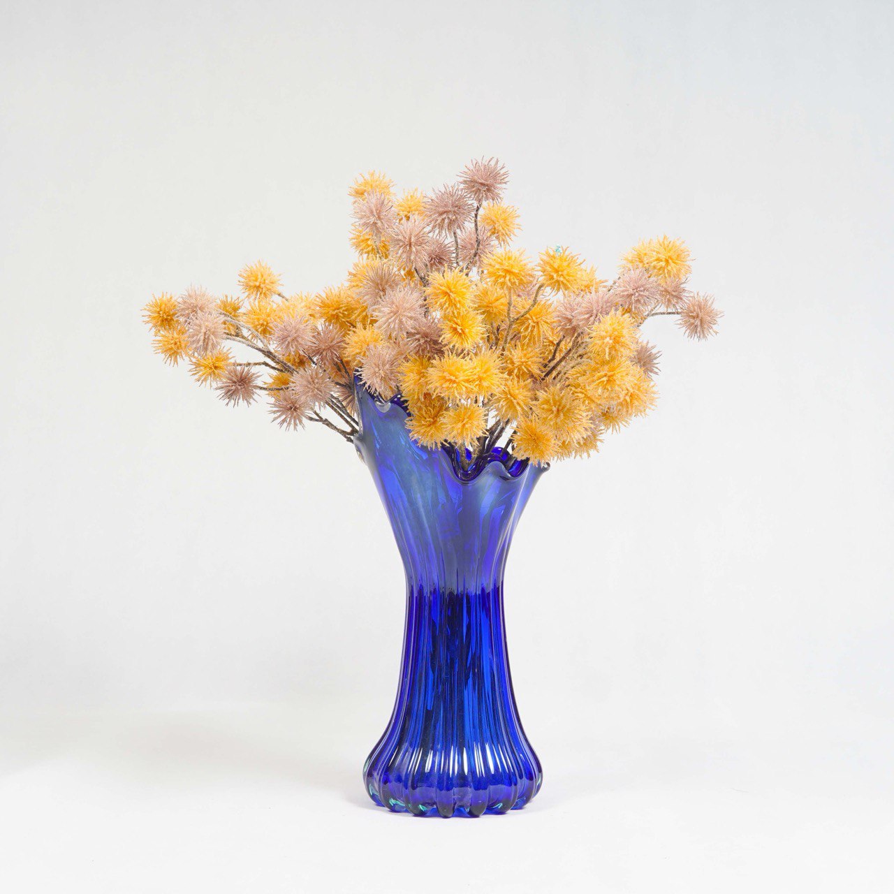 photo_2025-10-11_00-56-13